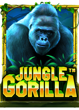 รีวิววิธีสมัคร ไพ่ บา ค่า ร่า ที่คุณควรรู้ก่อนเริ่มเล่น